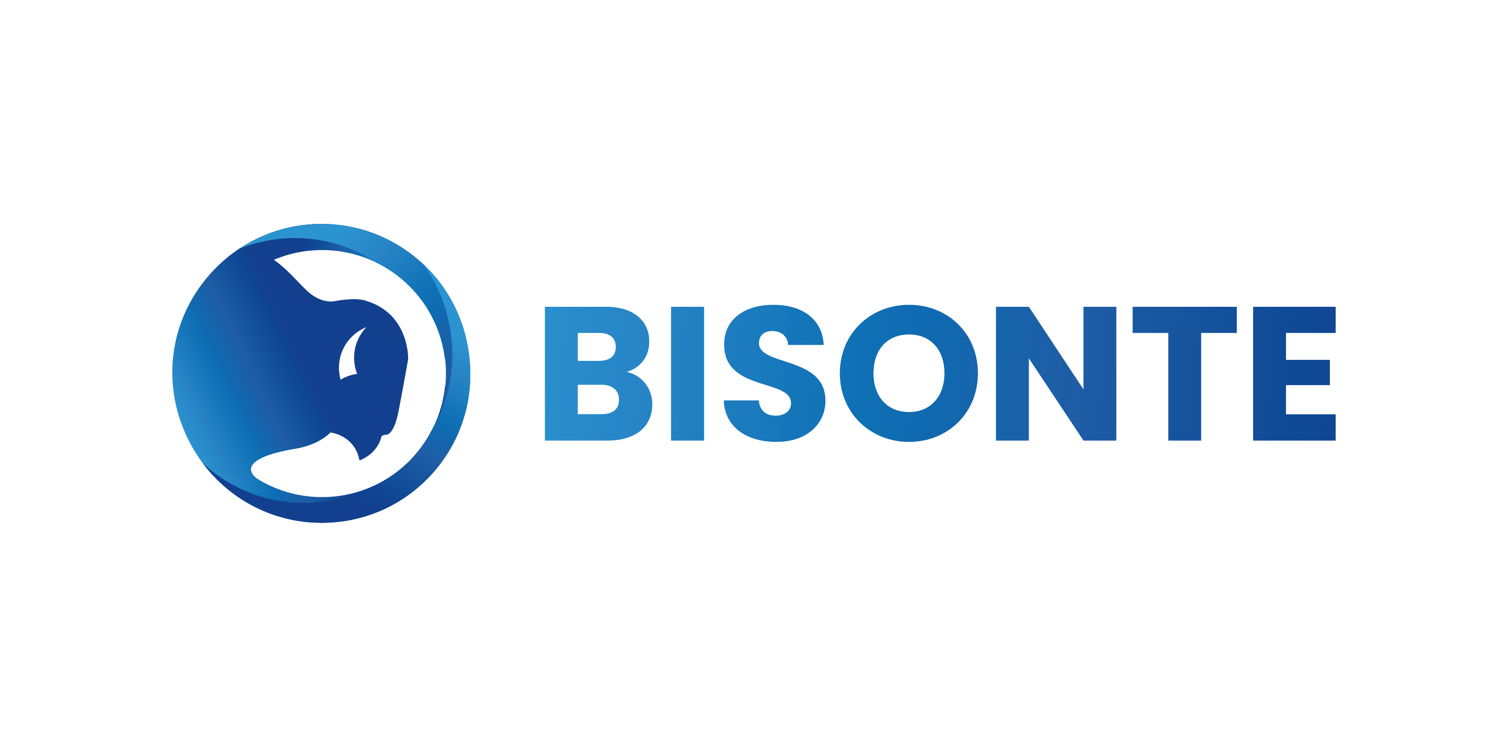 Bisonte Ingeniería