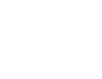 Bisonte Ingeniería