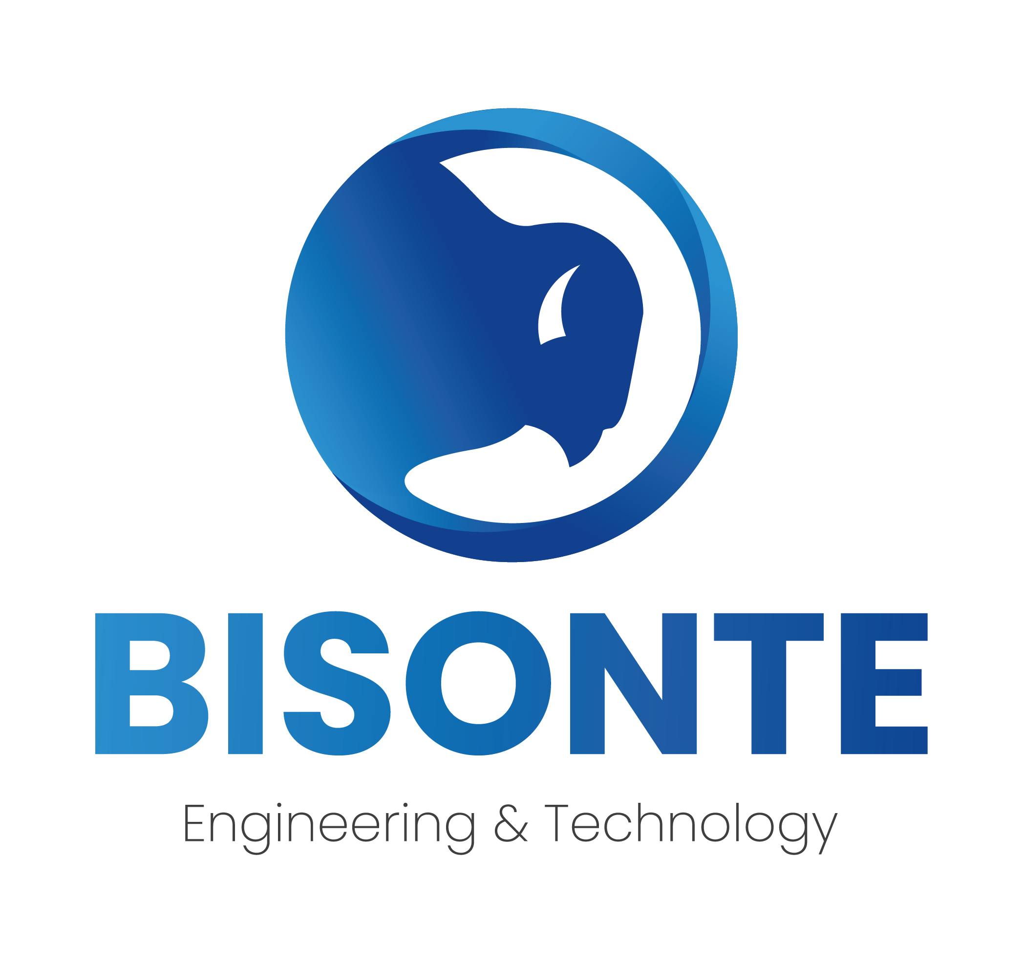 Bisonte Ingeniería